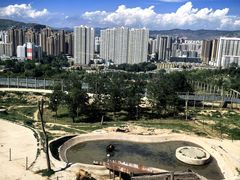 -青藏高原野生动物园