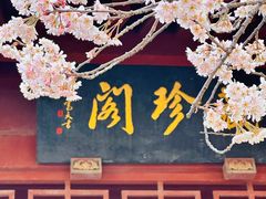 -堤角公园