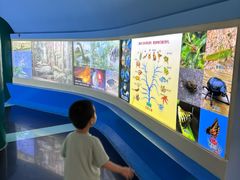 -上海昆虫博物馆