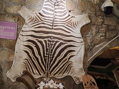 -青岛葡萄酒博物馆