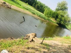 -蒲河岛湿地公园