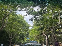 -青岛第二海水浴场