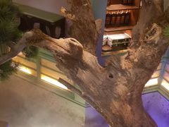 -绿茶餐厅(南昌王府井店)