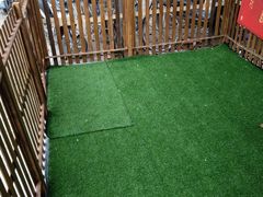 -圣宠宠物(平吉花卉市场店)