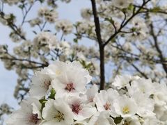 -江苏三台山国家森林公园