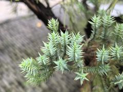 -南京市民俗博物馆(甘熙故居)