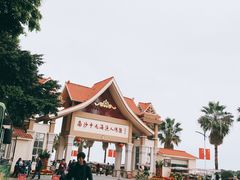 -大湾区中央湿地公园-十九涌