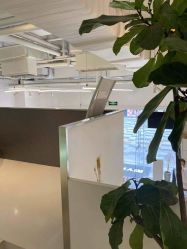-I+造型烫发染发