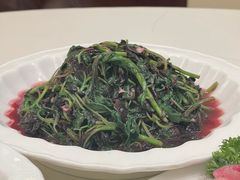 蒜蓉苋菜-得月楼·省级非遗·传统苏帮菜(观前店)