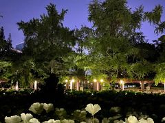 -四川大学(华西校区)