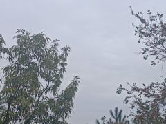 -杭州黄龙洞