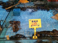 -79号渔船海鲜饭店(宝安店)