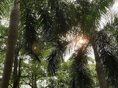 -南宁南湖公园
