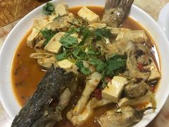 -煲来饱去冷水鱼