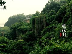 -广州莲花山旅游区