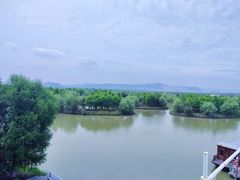 -漩门湾国家湿地公园