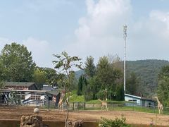 -大连森林动物园