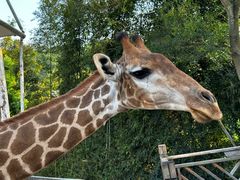 -泉州海丝野生动物世界