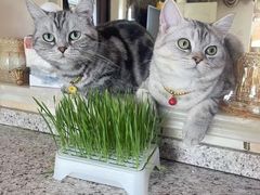 -天津前进宠物医院(前进道店)