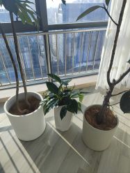 -HEYAN荷妍专业脱毛连锁机构