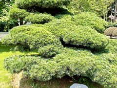 -上海虹桥迎宾馆