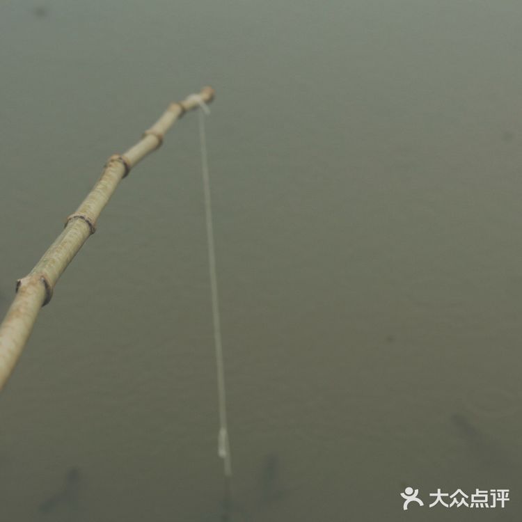 武汉果乐小镇钓小龙虾,有和我一样的童年吗?