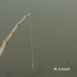 武汉果乐小镇钓小龙虾，有和我一样的童年吗？