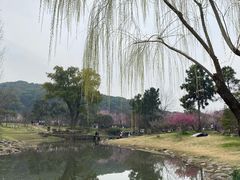 -无锡梅园公园