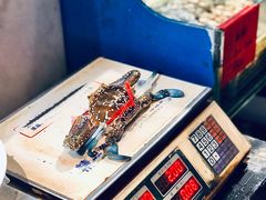 鲜活飞蟹-华盛丰温州大排档(东三环南路店)