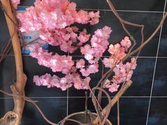 -松子料理(白家庄店)