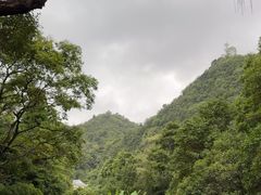 -黔灵山公园