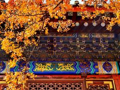 -香山公园