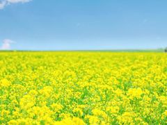 -扁都口生态休闲旅游区