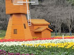 -苏州上方山国家森林公园