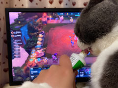 -秀猫阁·猫咪花园(万达店)