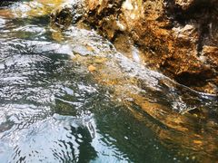 -安吉龙王山峡谷漂流