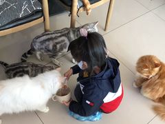 -平行世界·猫咖(首经贸店)