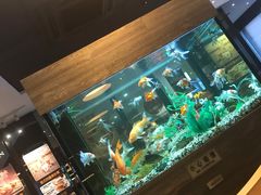 -大家乐(东莞虎门店)