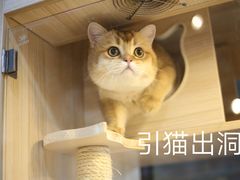 -PETKIT 小佩宠物·低压洗护·美容·寄养(安远店)