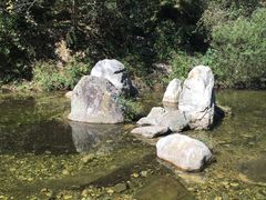 -牛背梁国家森林公园