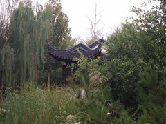 -武清南湖绿博园