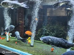 -又见炊烟私房菜(敬亭路店)