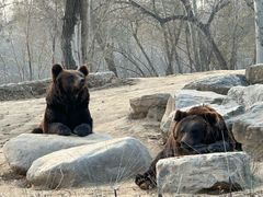 -北京野生动物园