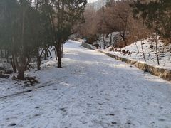 -北京西山国家森林公园