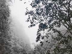 -青城山