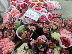 -三圣花乡旅游区