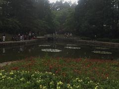-庐山风景区花径公园