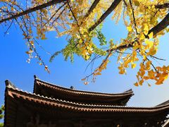 -清凉寺
