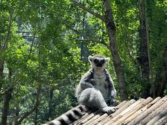 -北京野生动物园