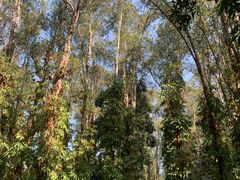 -华南国家植物园-售票处